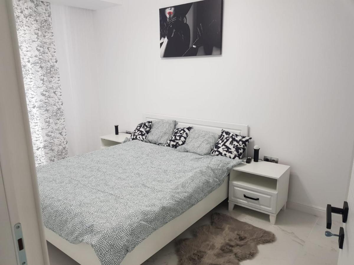 New Transilvania Apartment كلوج-نابوكا المظهر الخارجي الصورة
